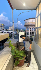 Properties Details 8