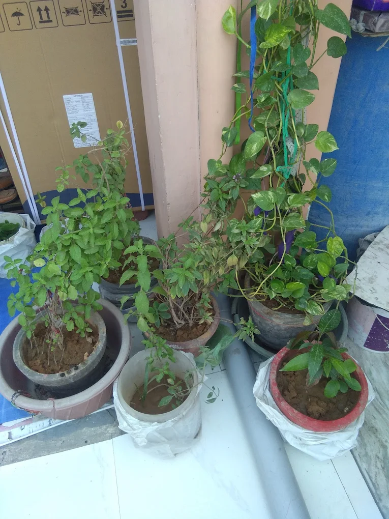 Properties Details 5