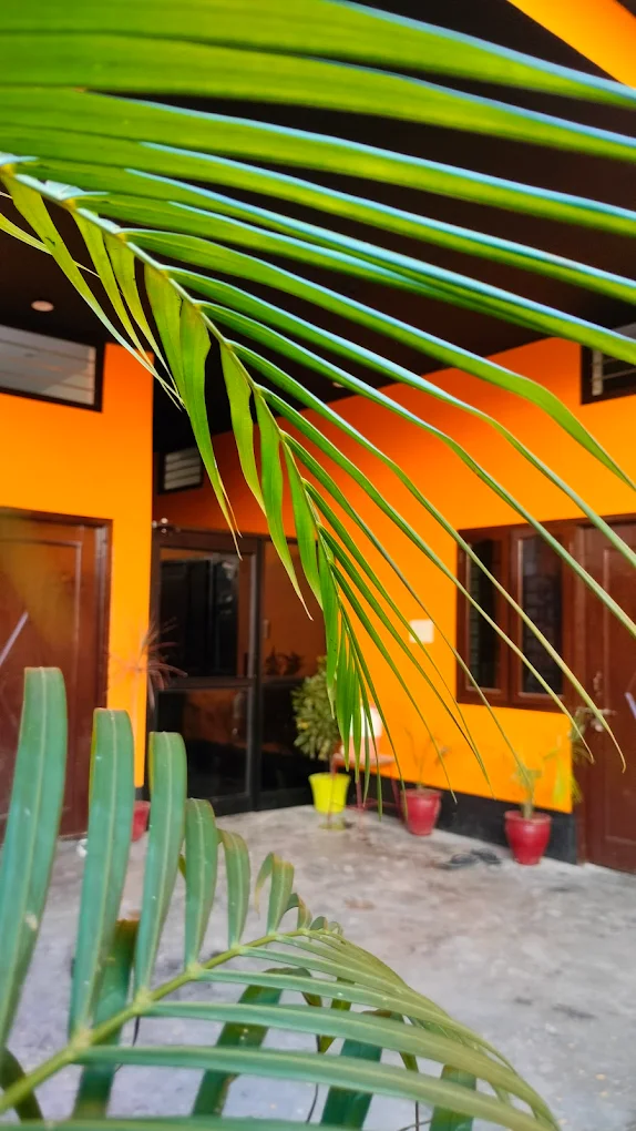 Image 3